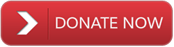 donate-btn